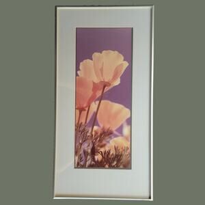 Vintage 1984 27" x 14" Framed Photo of California Poppies